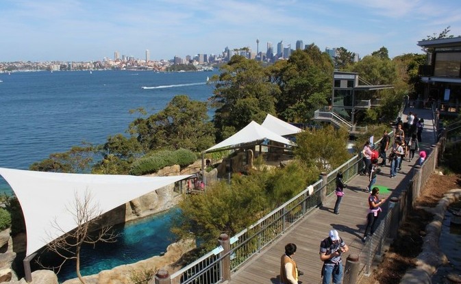 Taronga 动物园2