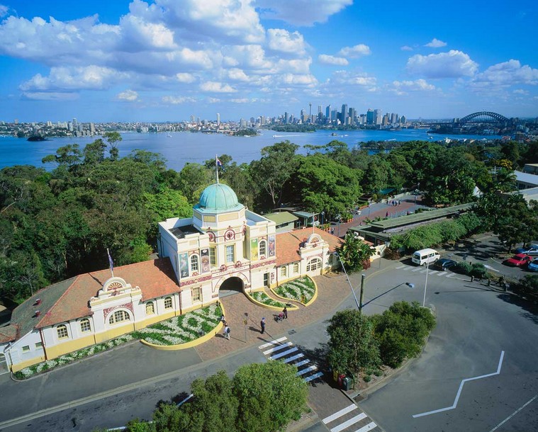 Taronga 动物园4